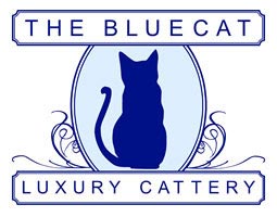 Bluecat Luxury Cattery, Clophill, bedfordshire