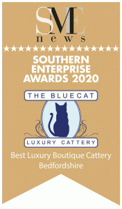 southern enterprise award - Best Luxury boutique Cattery in Bedfordshire 2020